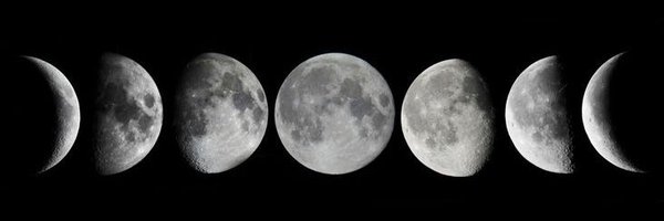 ElizabethDF22 Profile Banner