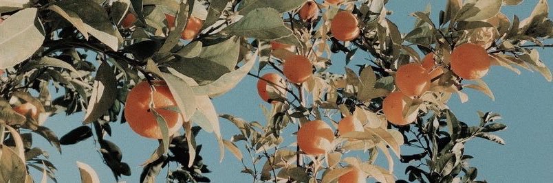 brittanycfoster's profile banner image