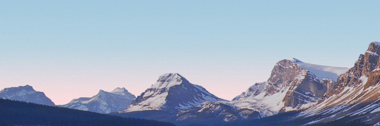 srjezu's profile banner image