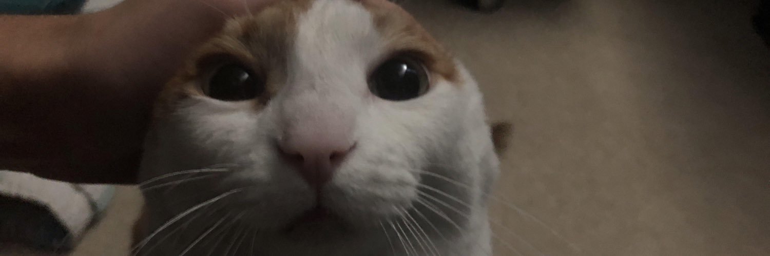 A_Homeless_Duck's profile banner image