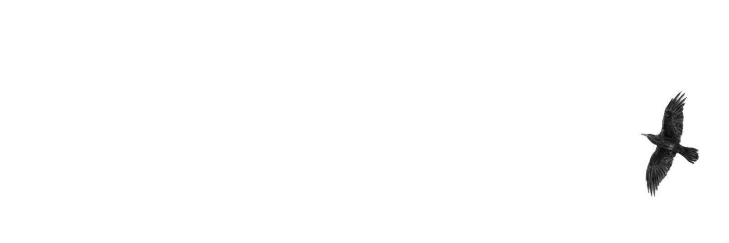 v a c í o. banner