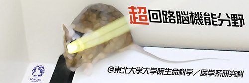 松井 広 / Ko Matsui banner