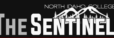 NICSentinel's profile banner image