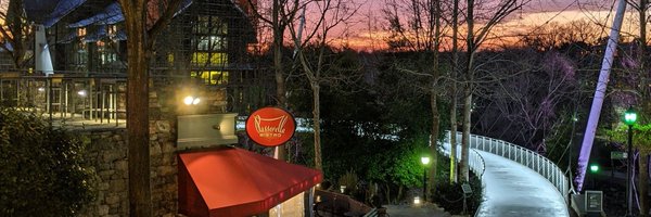 SwampFox Profile Banner