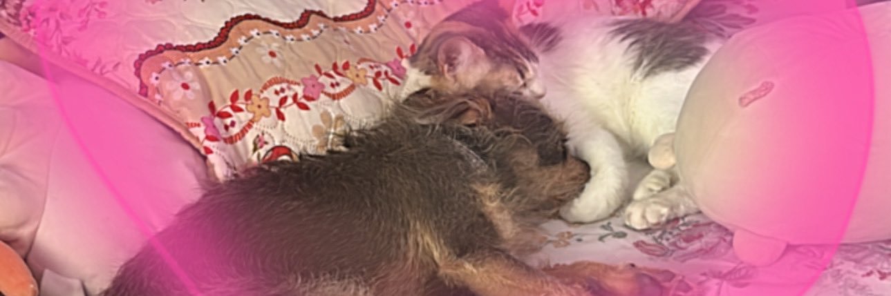 Jaziveee's profile banner image