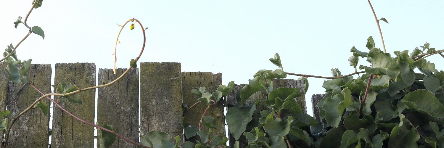 Africanfruit's profile banner image