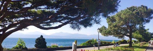 alexcarliera Profile Banner