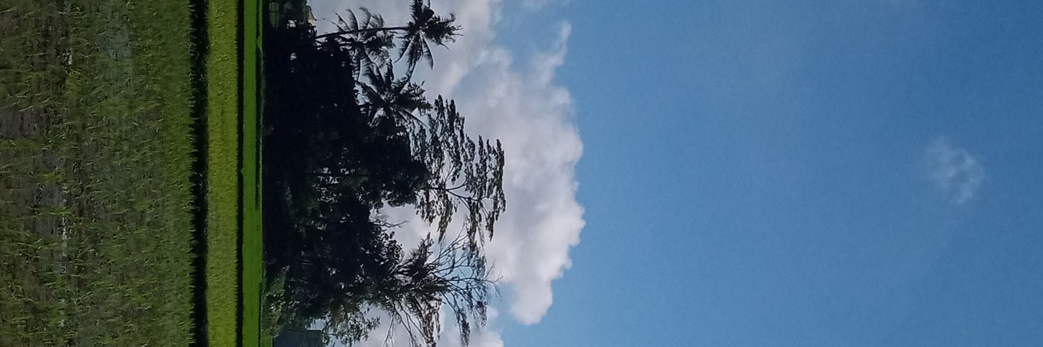 apipsogir's profile banner image