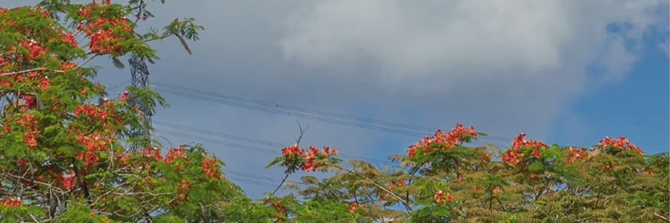 denkaimawan's profile banner image