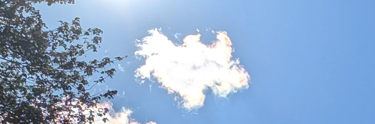 Dengenrate0's profile banner image