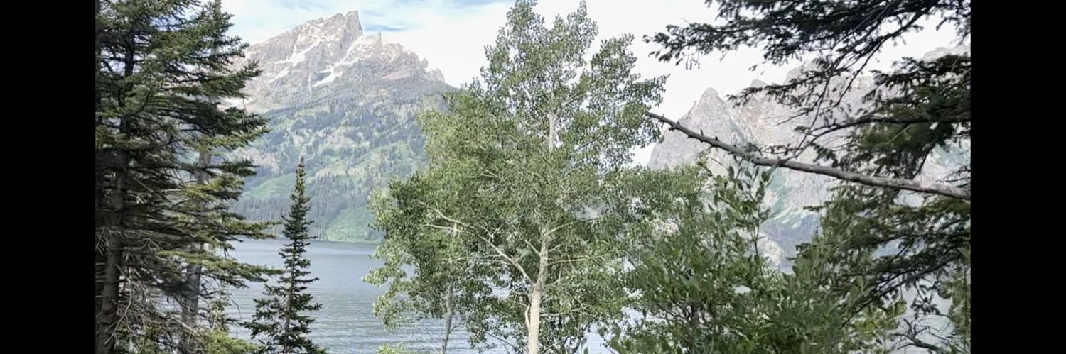 kimsesh's profile banner image