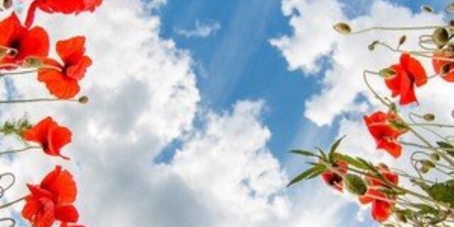 moja1's profile banner image