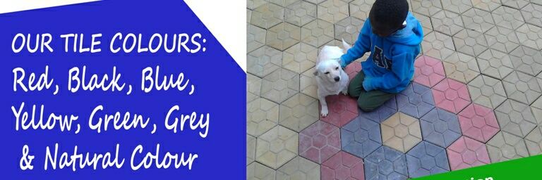 The Paving Experts banner