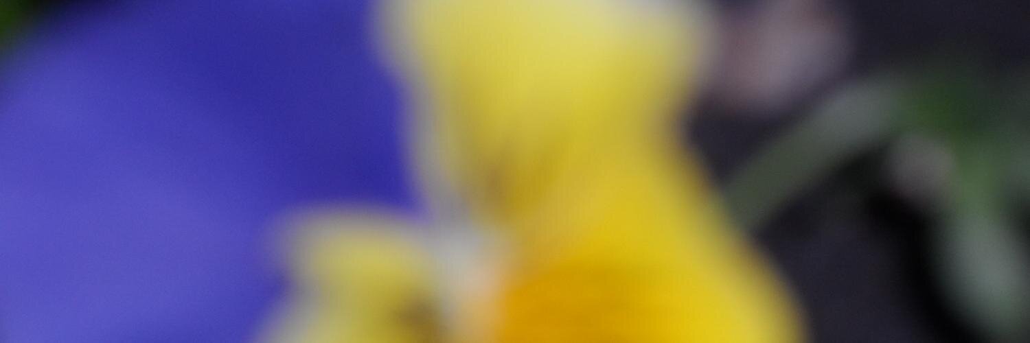 kohoho1's profile banner image