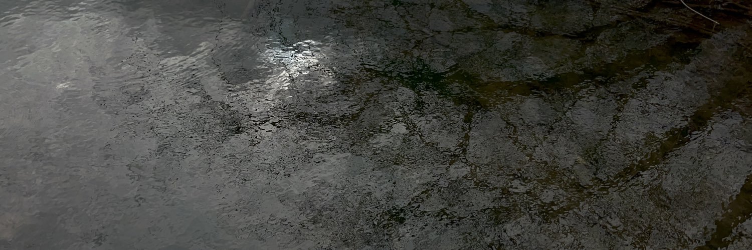 vq banner