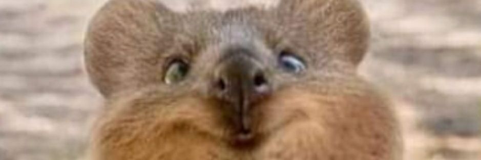 Matthiasprvst5's profile banner image