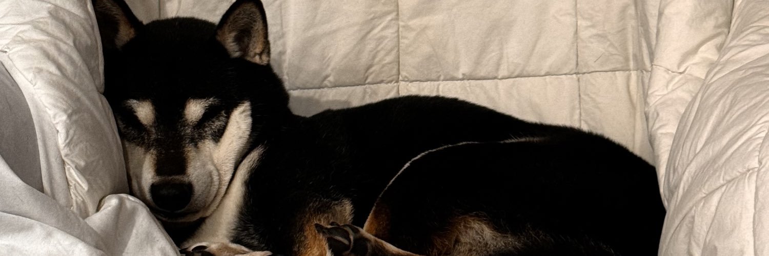 schmanderz's profile banner image