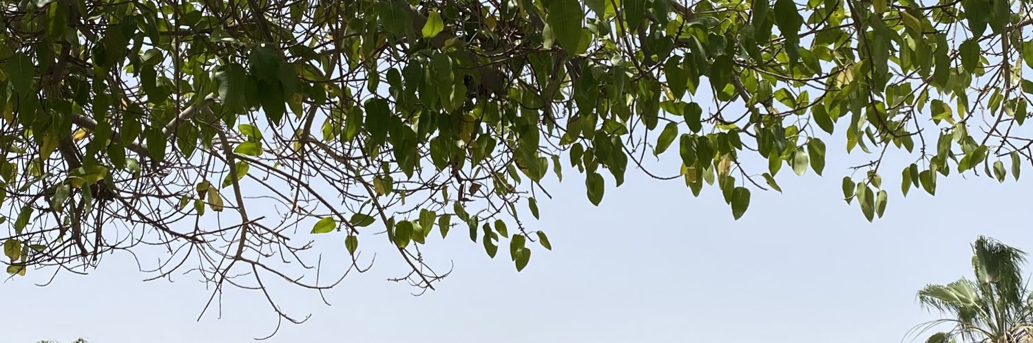sondos3li's profile banner image