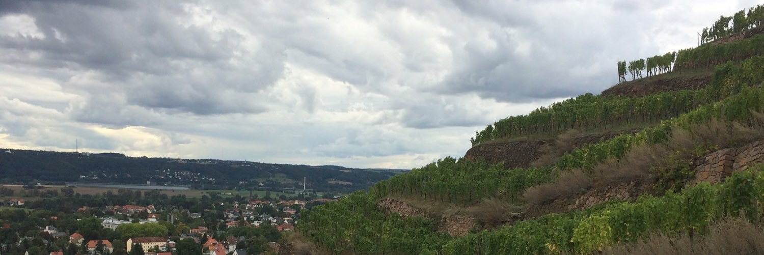 Ilja banner