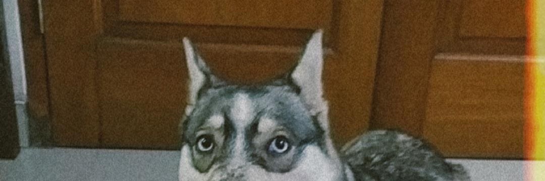 desirotua's profile banner image
