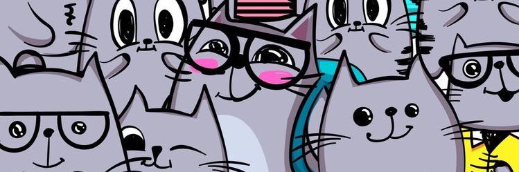 cecibrache's profile banner image