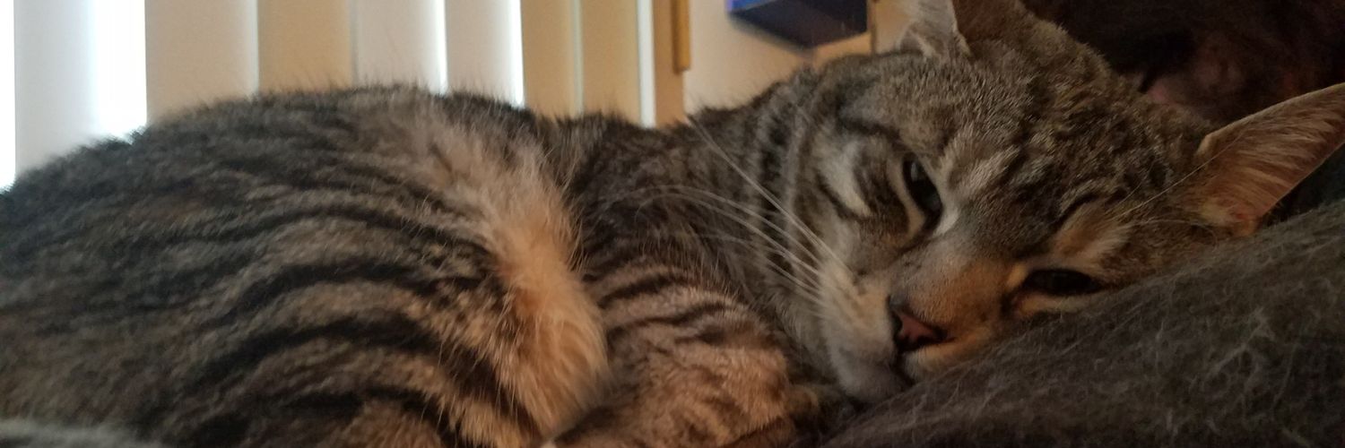 Zoë 💜♠️ banner