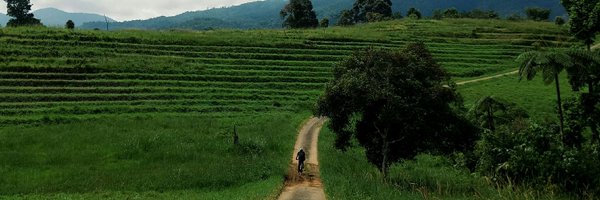 NoeySugiono Profile Banner