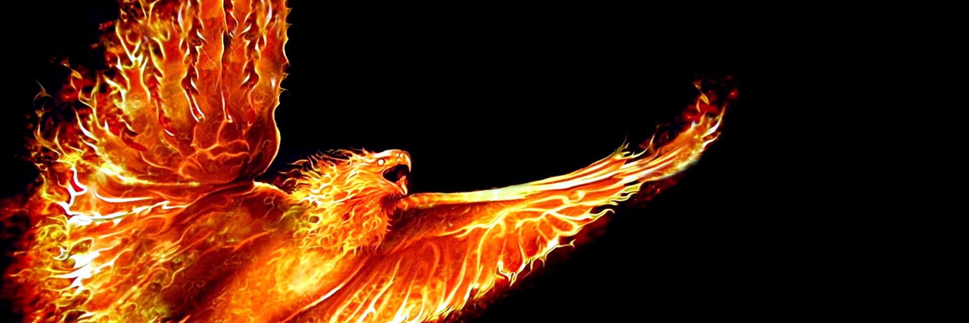 Thephoenixwolf2's profile banner image