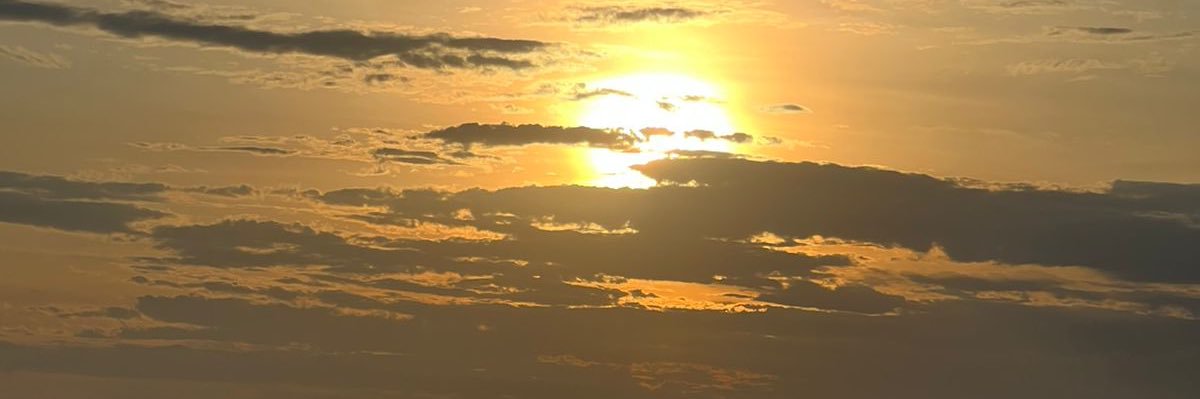 Danielleplopes's profile banner image