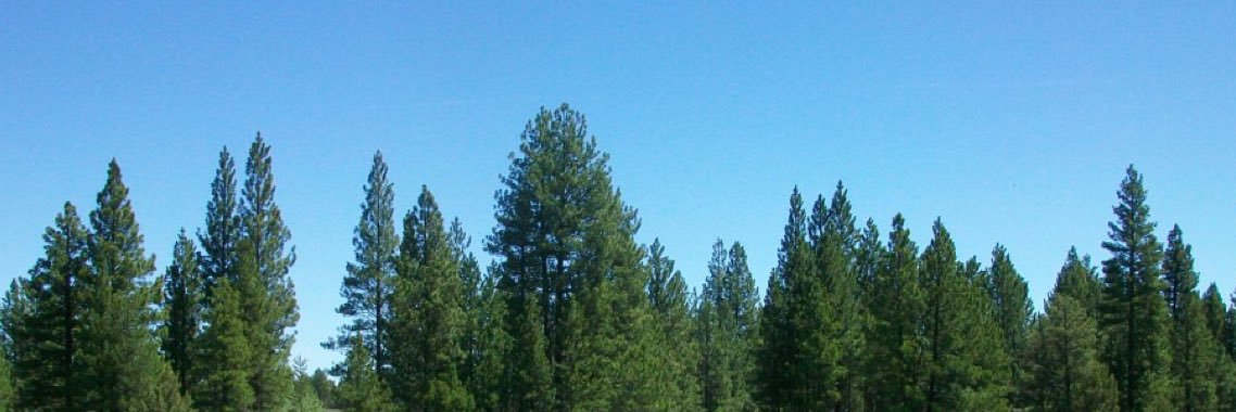 Oregon Parks Dept. banner