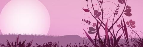 lisethavf's profile banner image