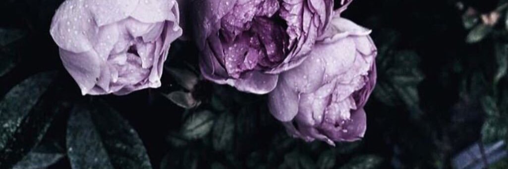 Abcdksa141's profile banner image