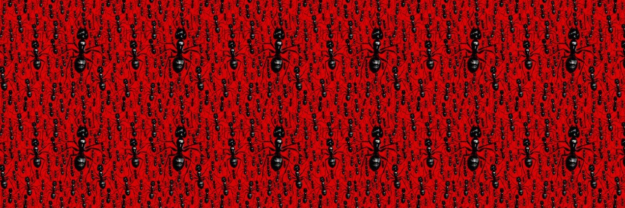 coldkids04's profile banner image