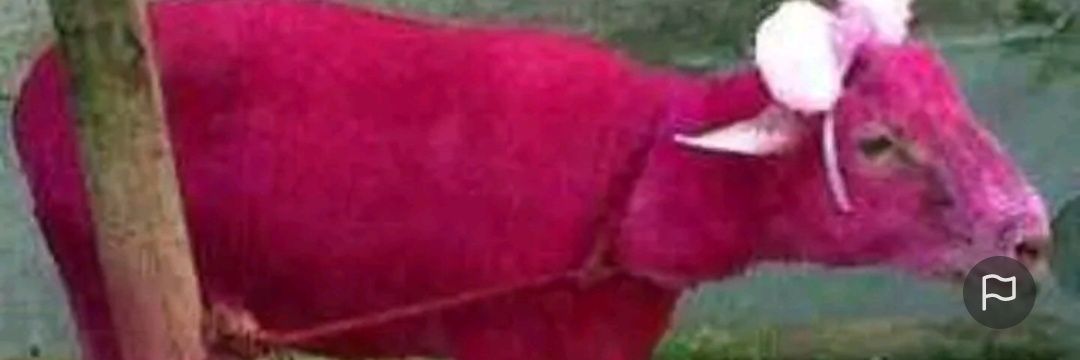 jeyiyyy's profile banner image