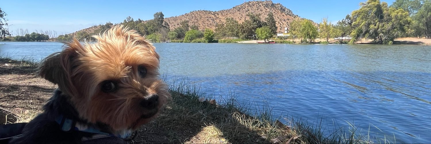 kcotte's profile banner image