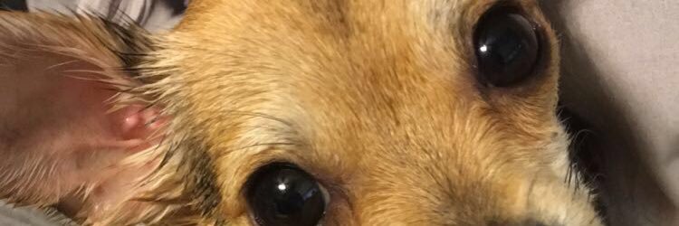 alineferraz_'s profile banner image