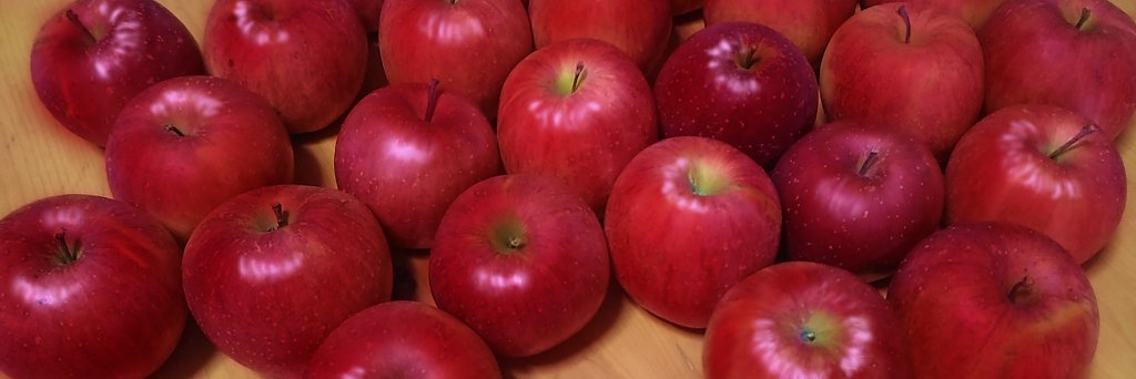 AppleShikishima's profile banner image