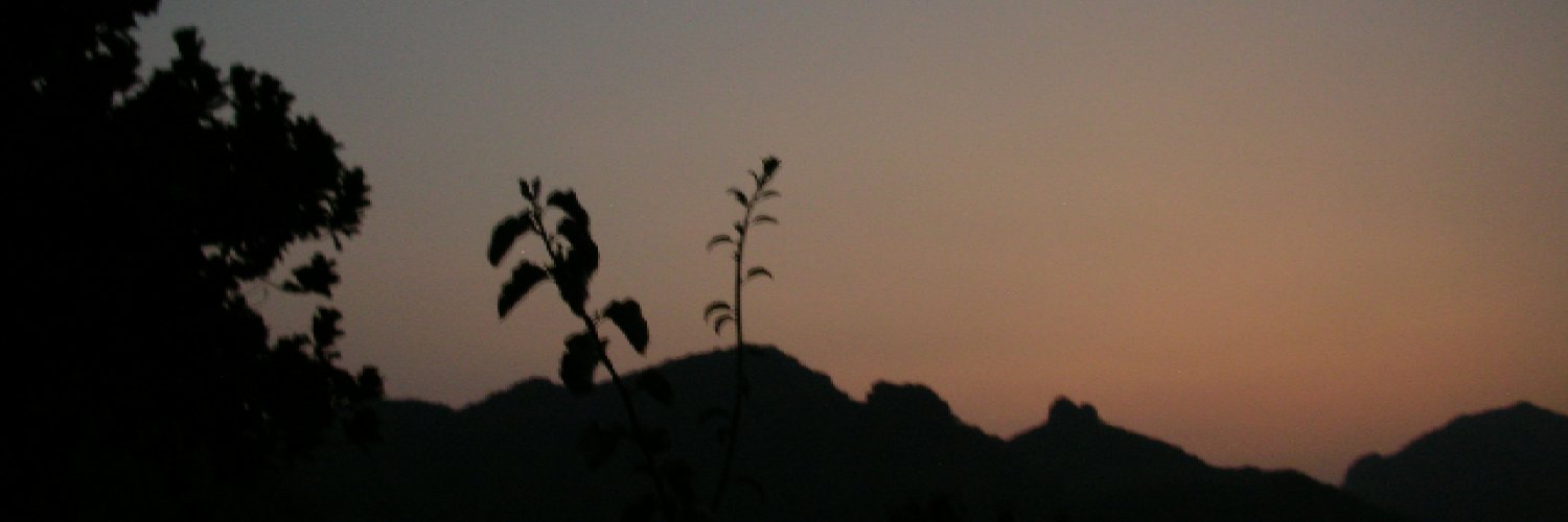 𝕭u's banner