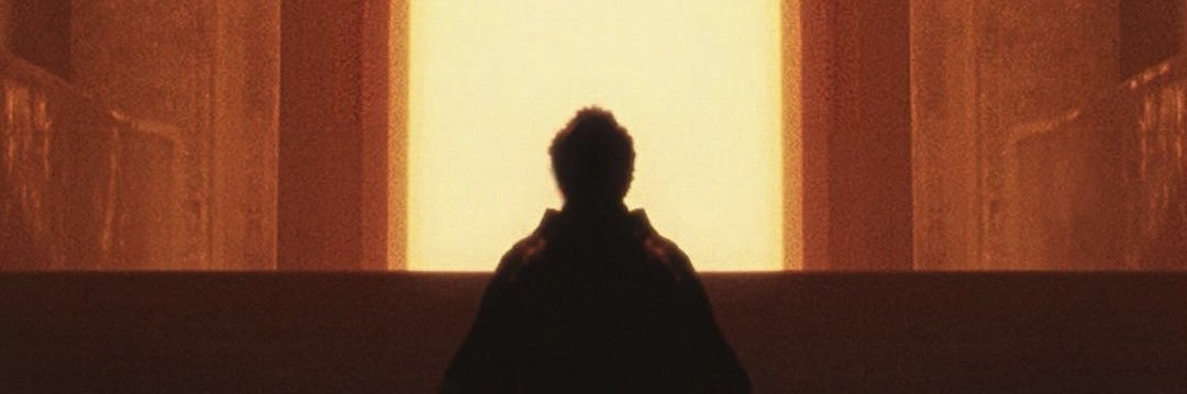 siestaxo's profile banner image