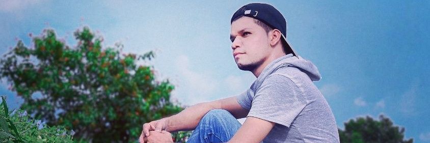 -El Caballero del Arte- banner