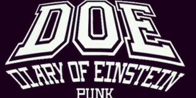 Diary Of Einstein banner