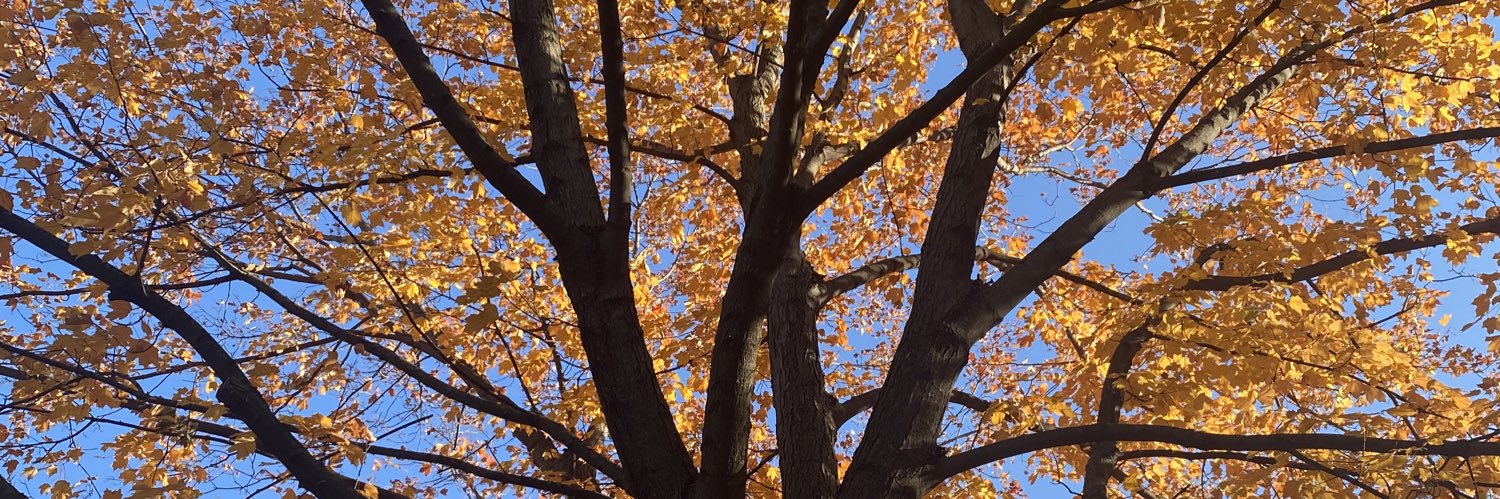 Angela Narayan banner