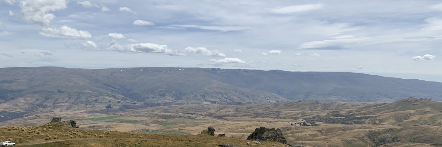 TrishBertNZ's profile banner image