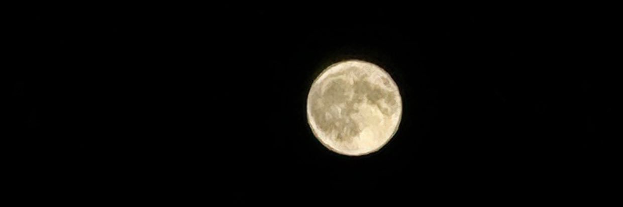 Muhammeddakar's profile banner image