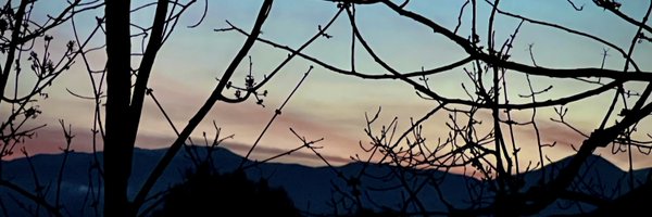 CapnSlipp Profile Banner