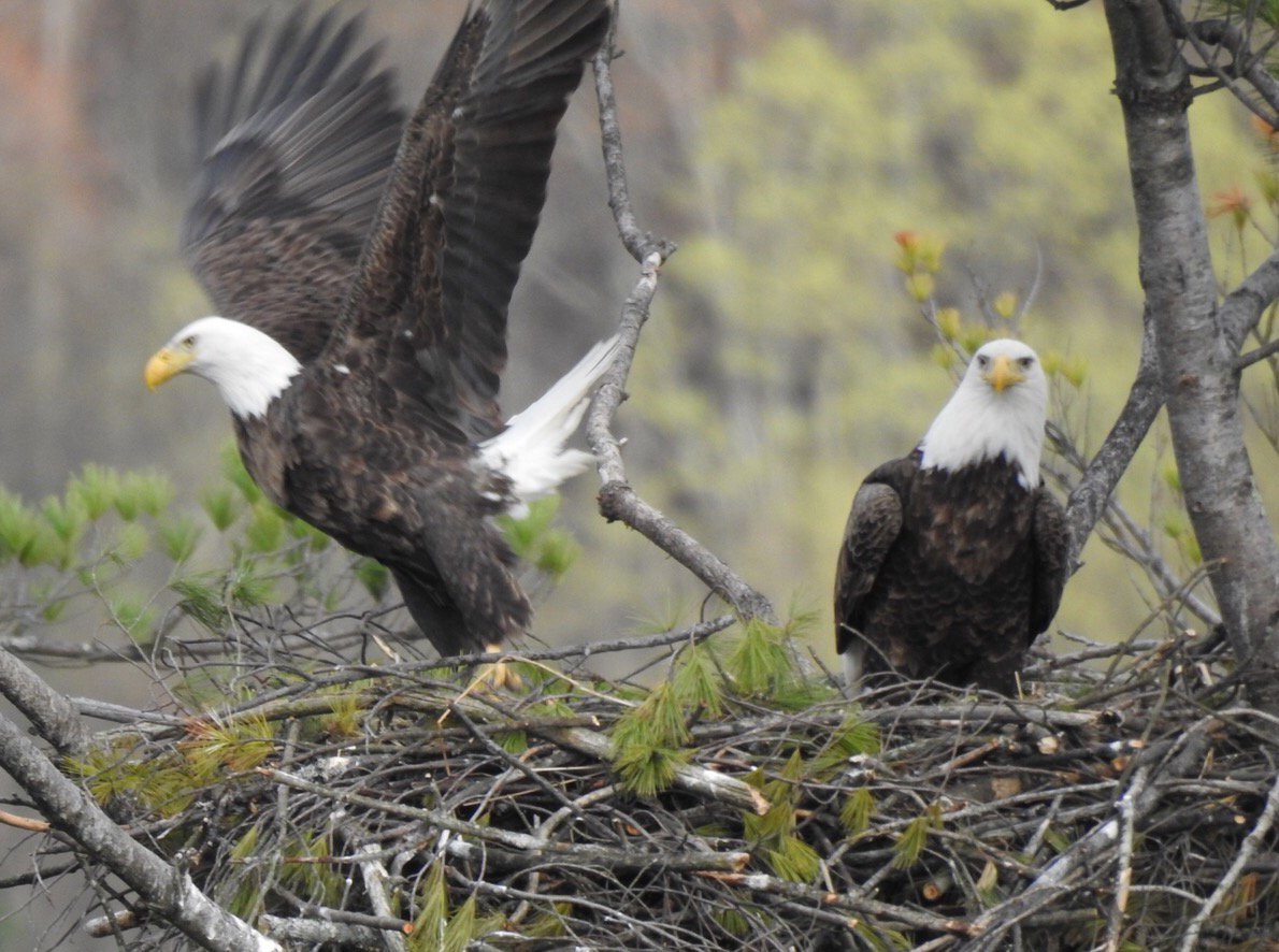 Richard Pritchard banner