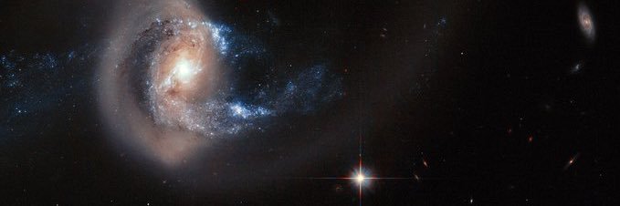 irmzilife's profile banner image