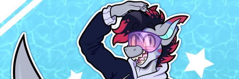 RazeTheShark's profile banner image