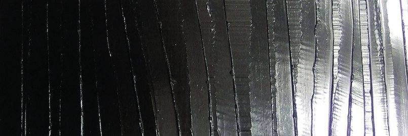 Guillermo Santos  banner