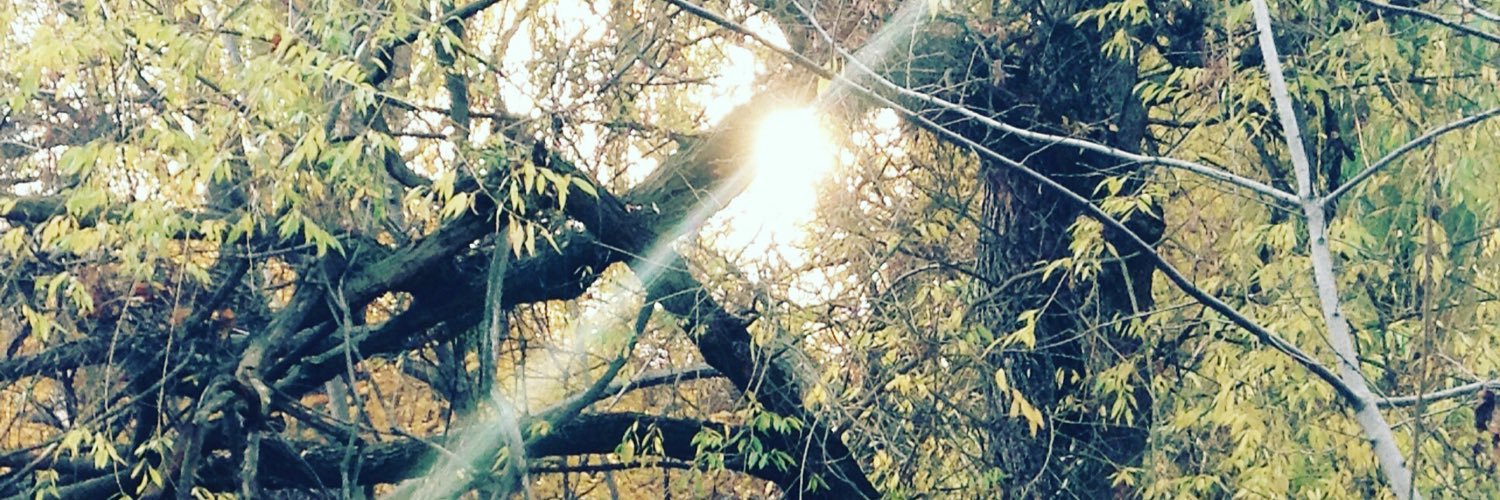 jesslundquist's profile banner image